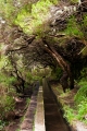 434_Madera_Levada das 25 Fontes